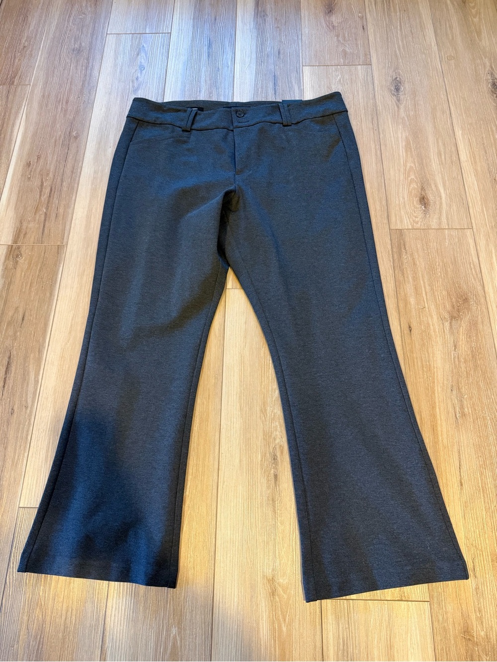 torrid ponte pants | never worn, with tags